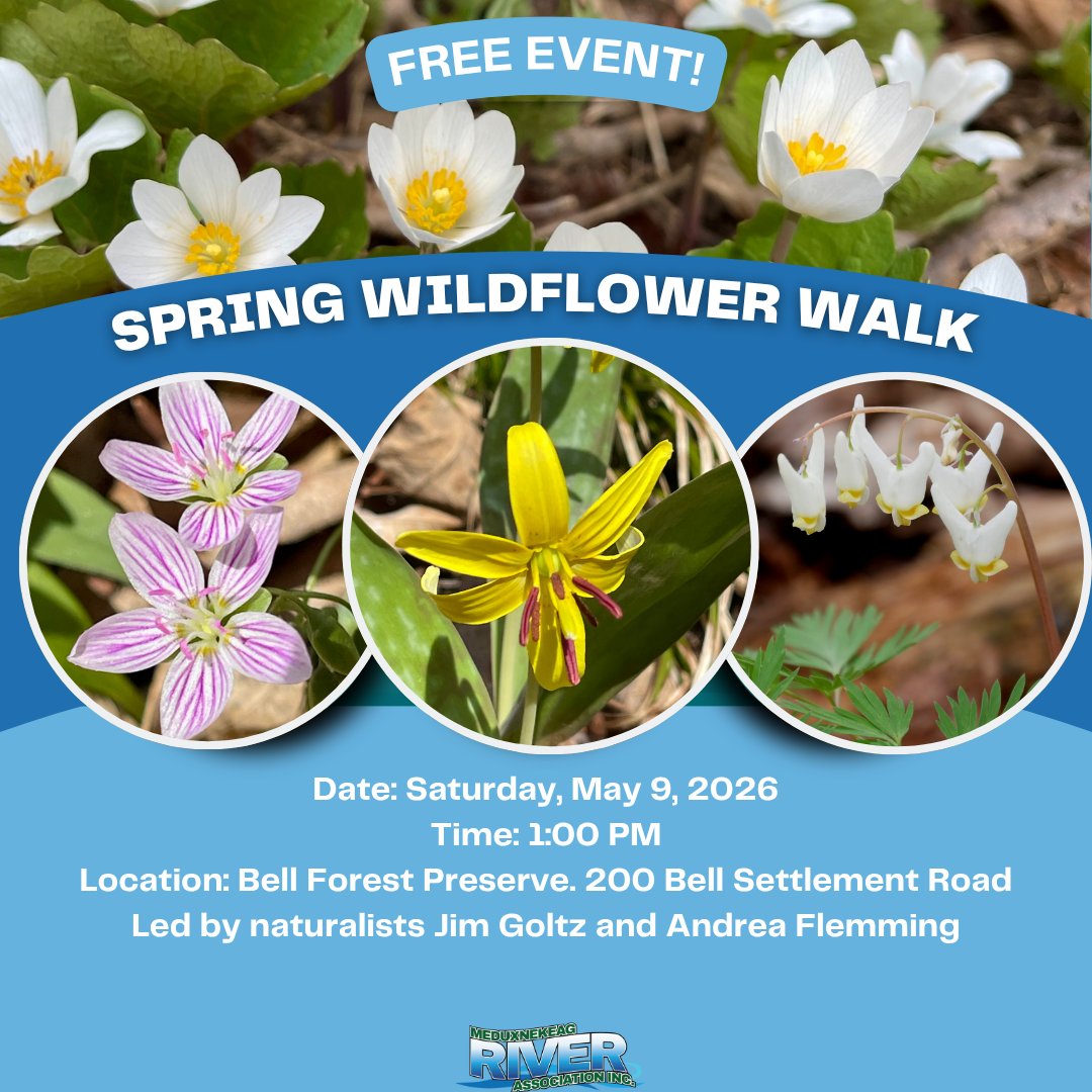 Spring Wildflower Walk
